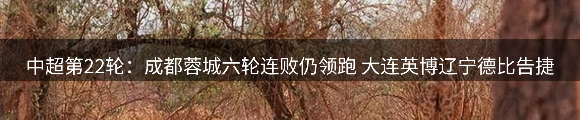 综合资讯